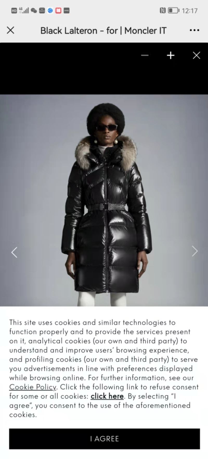 Moncler Down Jackets